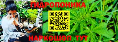 стаф Рязань