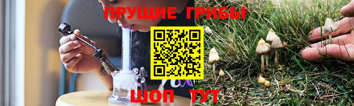 Саяногорск  Псилоцибиновые грибы Cubensis  Вход с VPN 